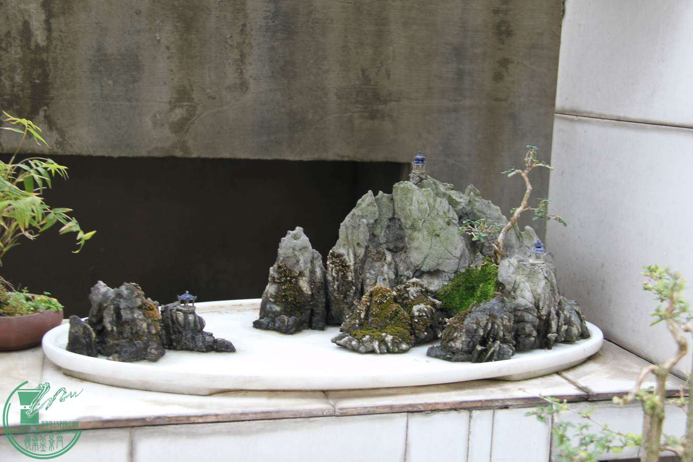 IMG_2534.jpg