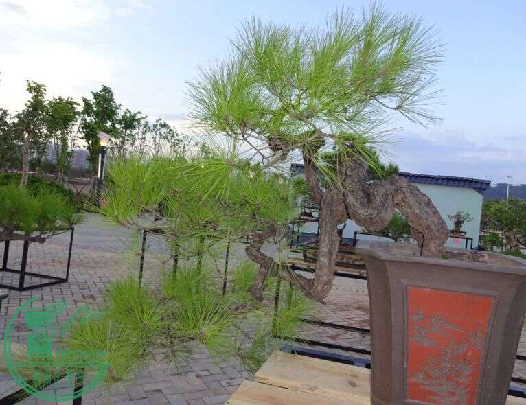 QQͼƬ20150616220621.jpg
