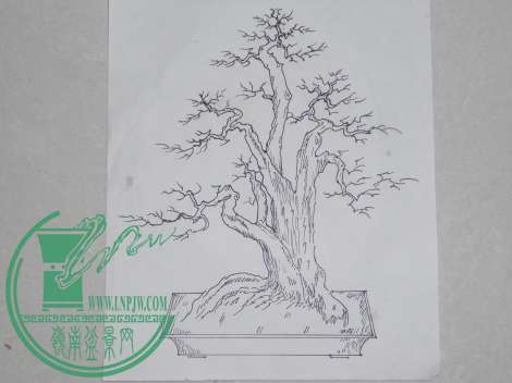 DSCN1088.jpg