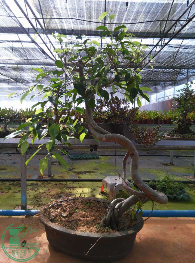 С ת IMG_20150608_085942.jpg