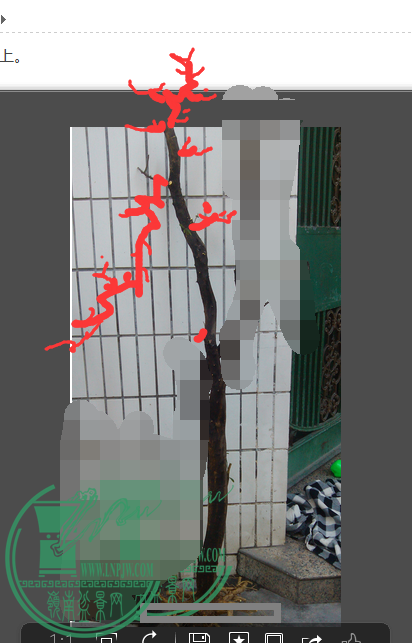 QQͼƬ20150617231235.png