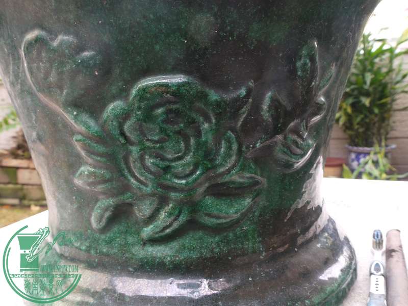 P1200900.JPG