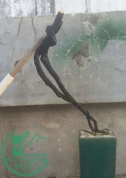 4_.jpg