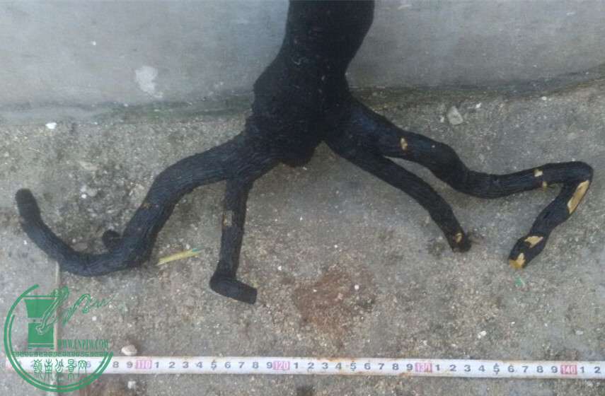 7_.jpg