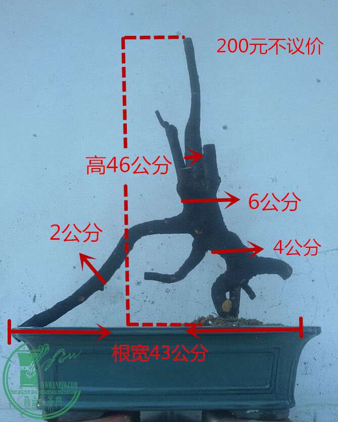9_1.jpg