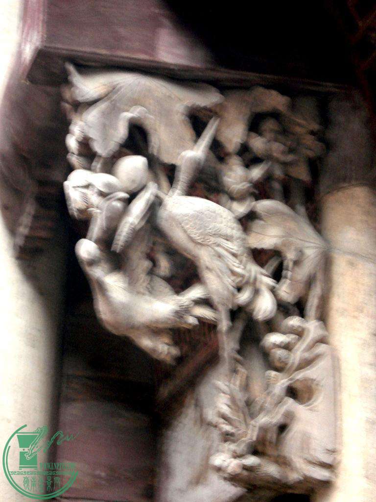 DSC01571.JPG