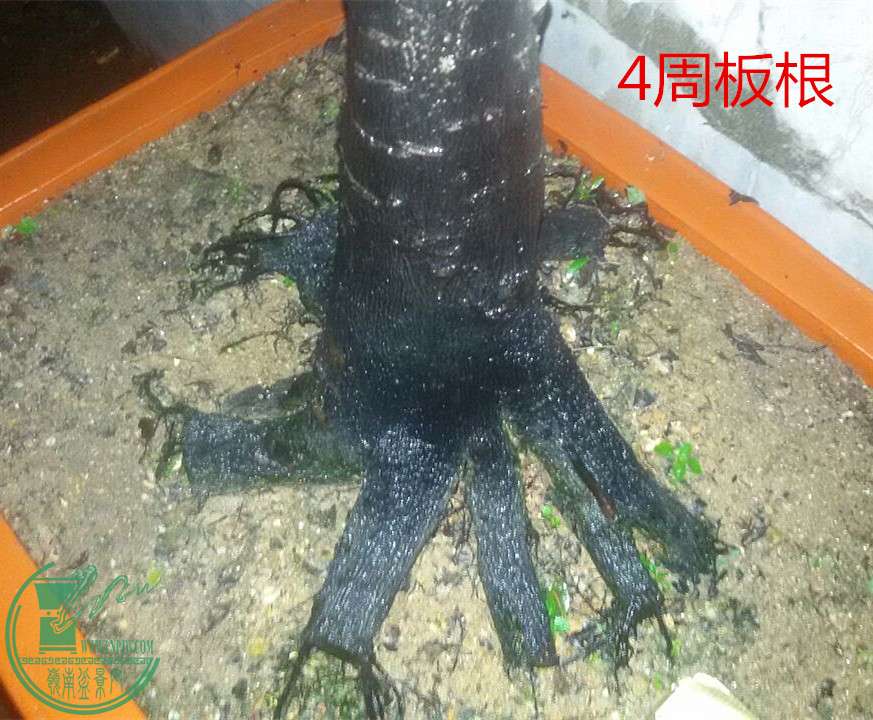 3_.jpg