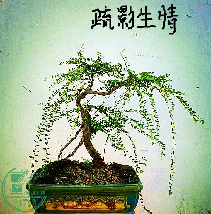 QQͼƬ20140920161747_.jpg