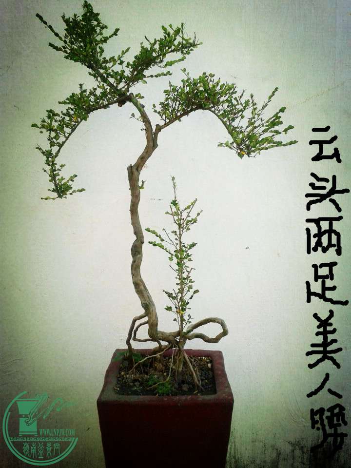 QQͼƬ20141020162959_.jpg