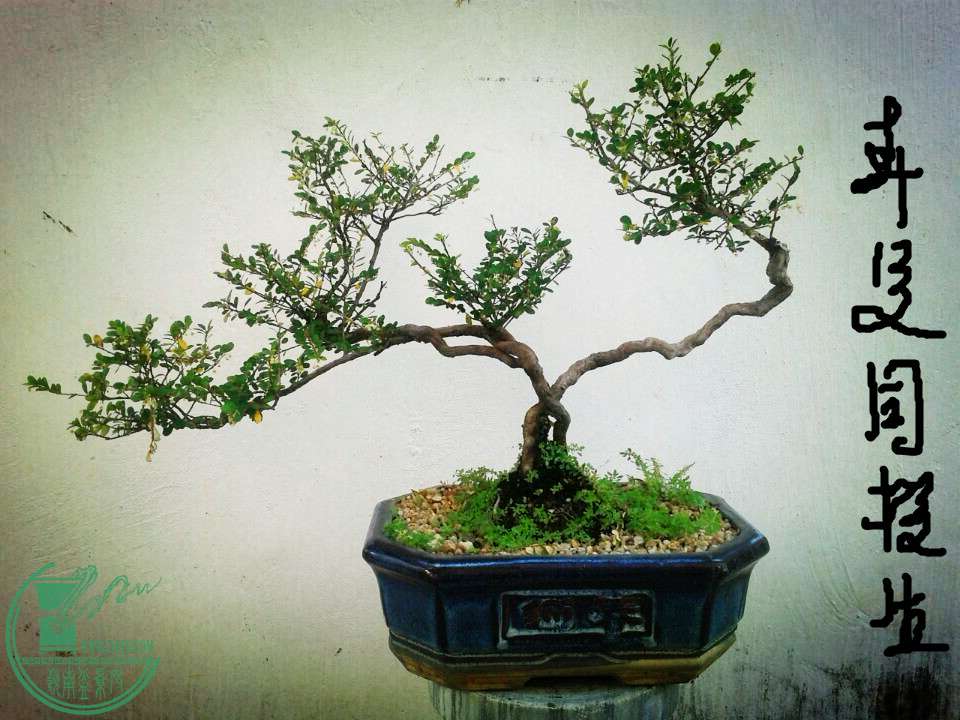 QQͼƬ20141020163017_.jpg