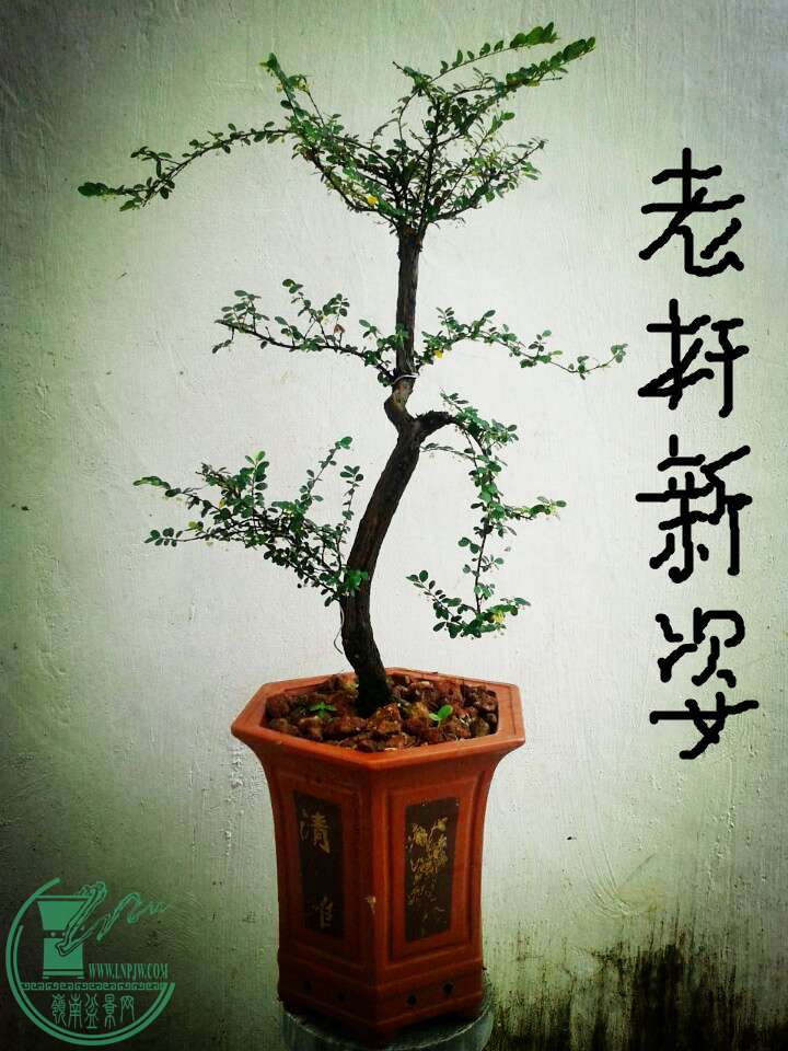 QQͼƬ20150622135049_.jpg