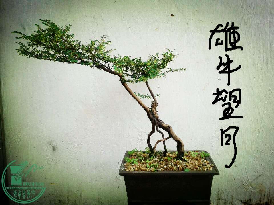 QQͼƬ20150622135053_.jpg