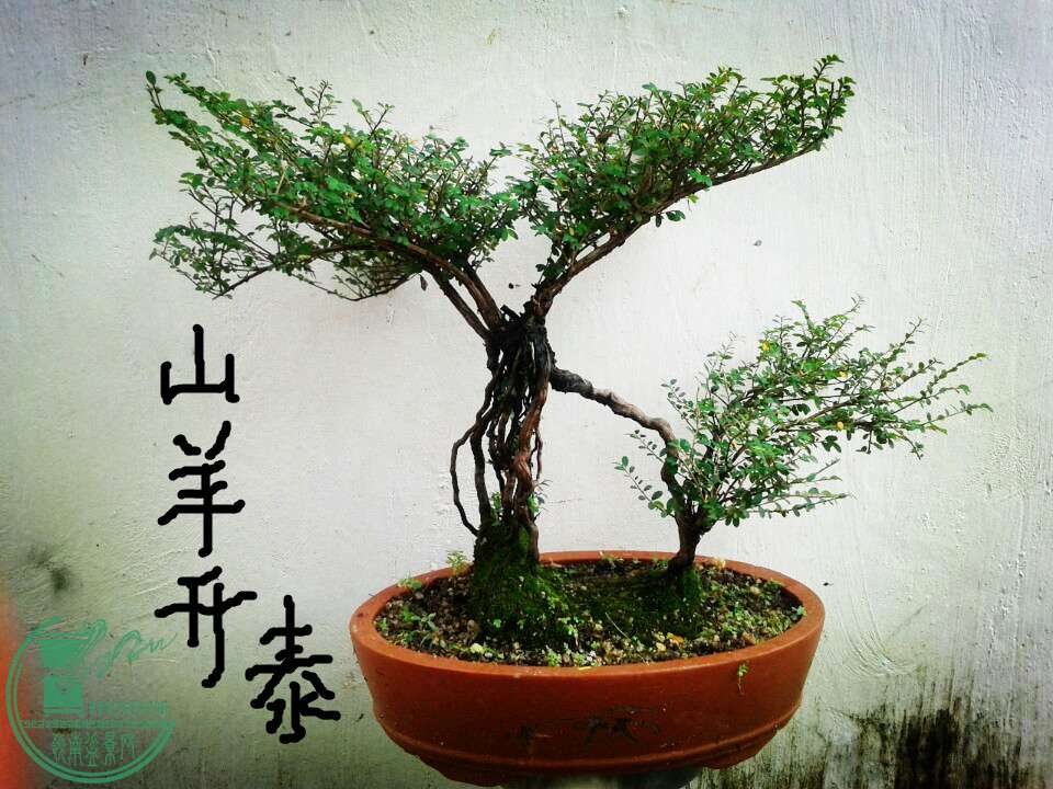 QQͼƬ20150622135101_.jpg