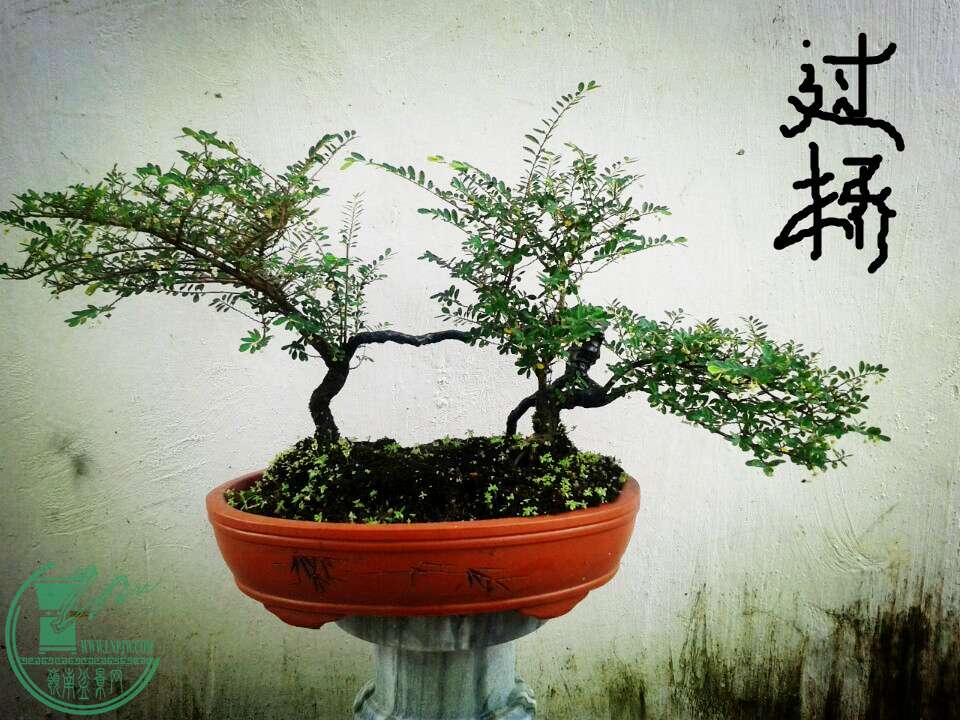 QQͼƬ20150622135104_.jpg
