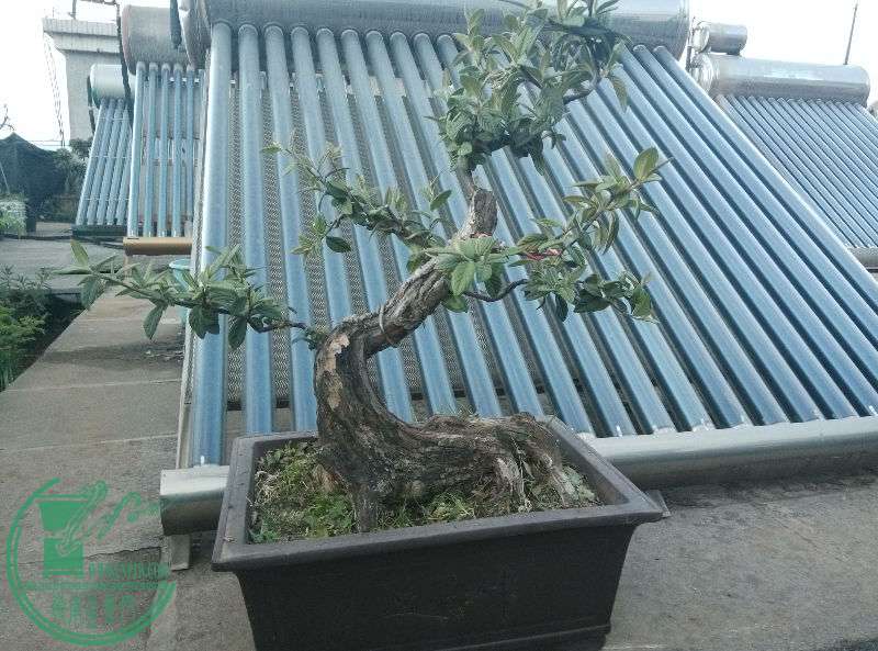 658671