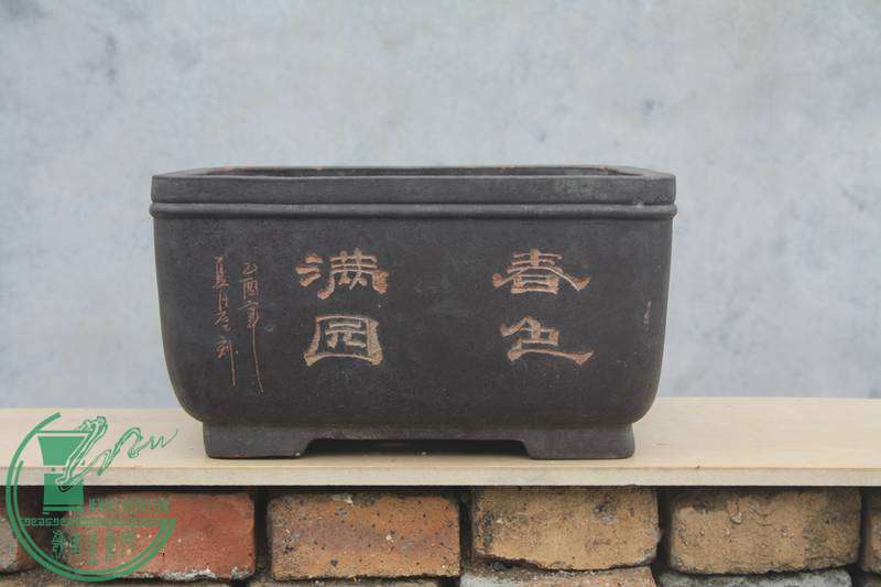 Ƭ20131026ۺ 3392.jpg