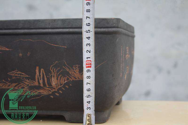 Ƭ20131026ۺ 3396.jpg