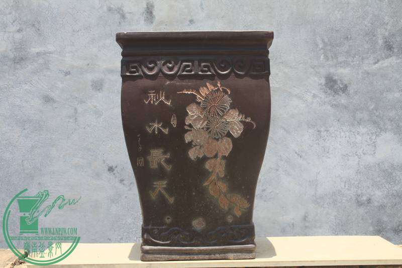 Ƭ20131026ۺ 3443.jpg