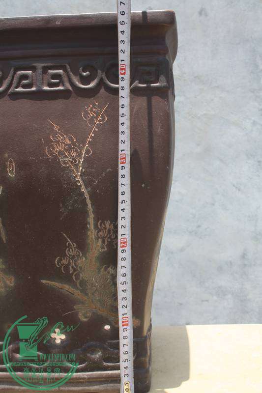 Ƭ20131026ۺ 3449.jpg
