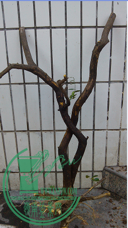 QQͼƬ20150625220225.png
