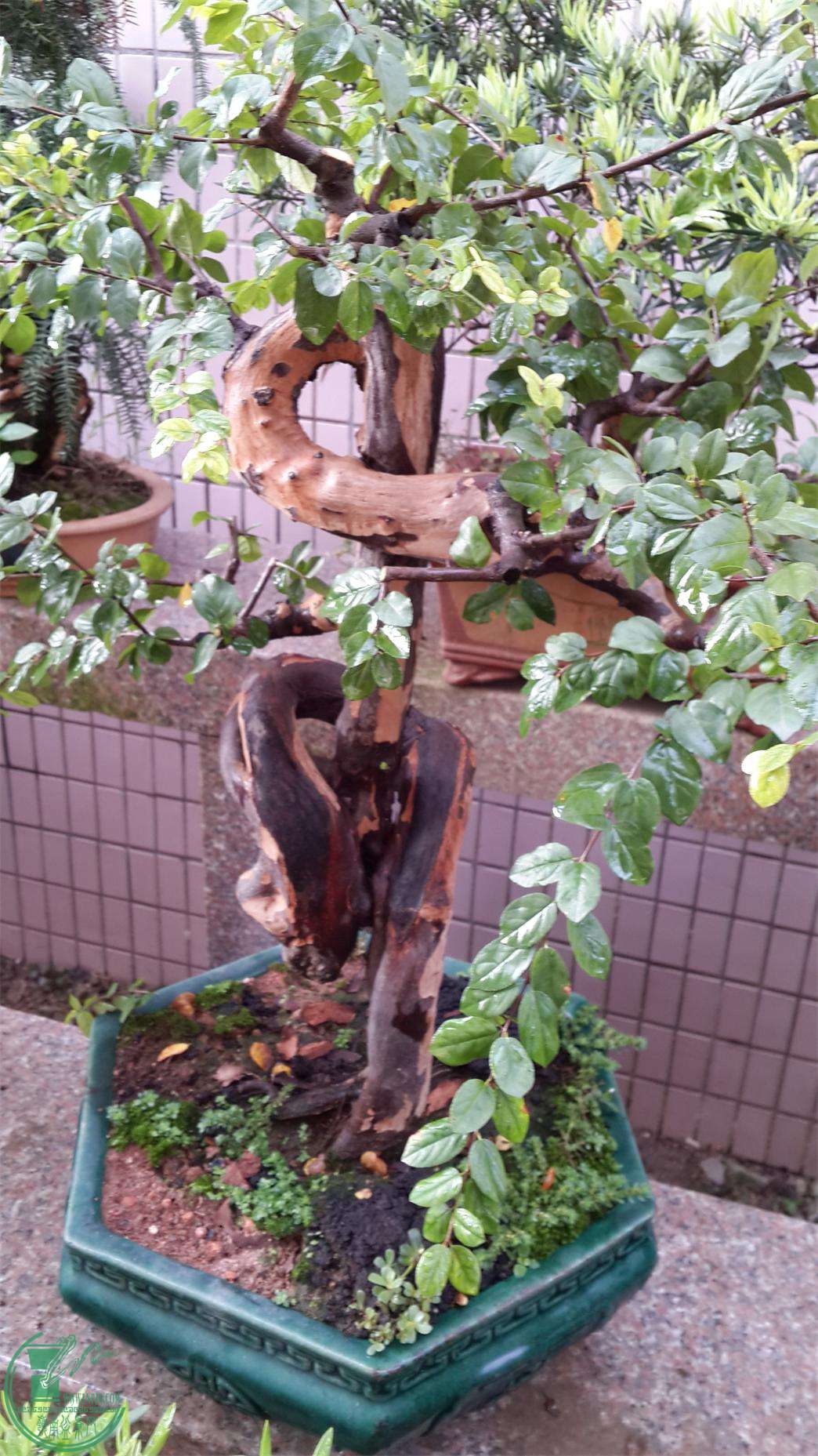 20150624_064106.JPG