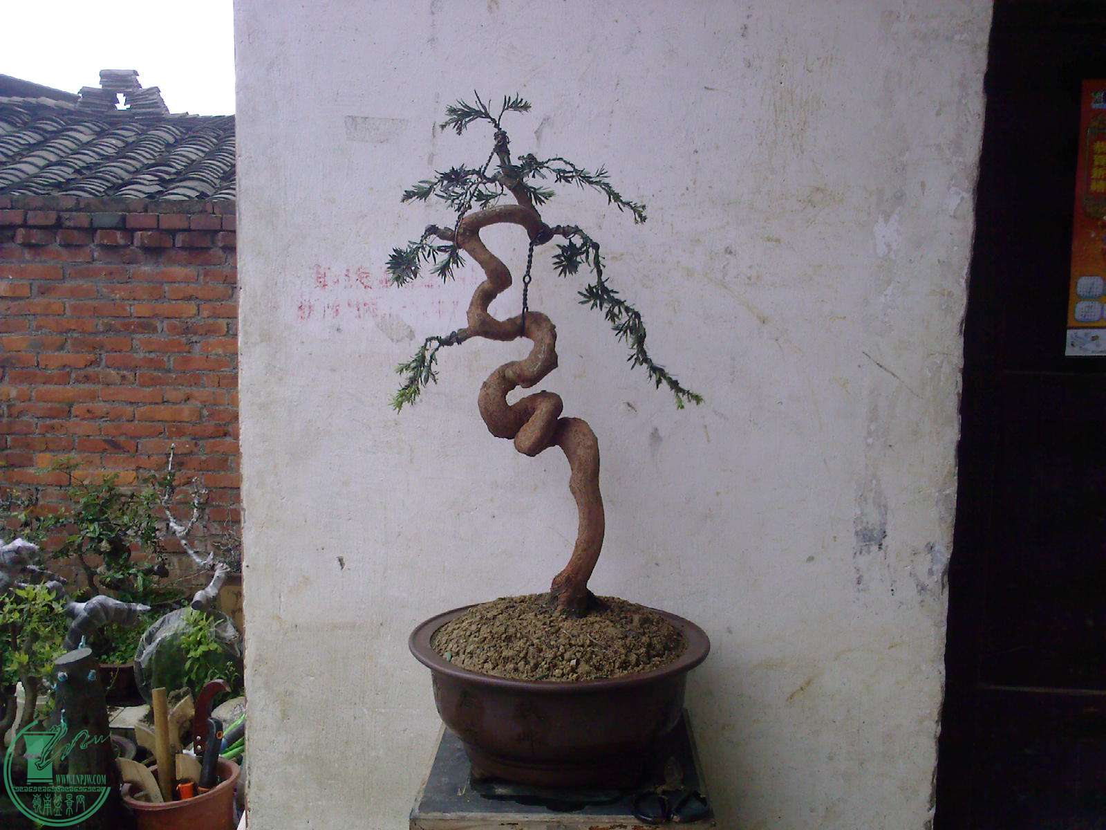 20150406141011.jpg