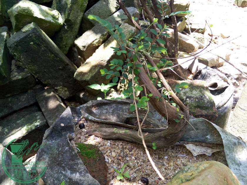 P50626-130115_С.jpg