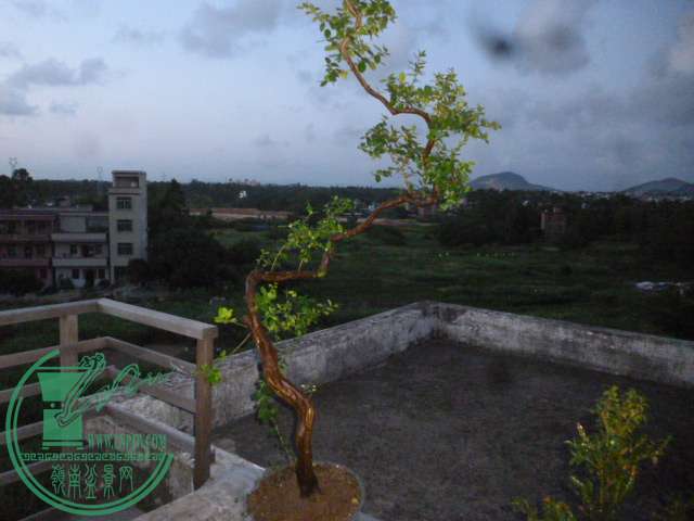 P1140127.JPG