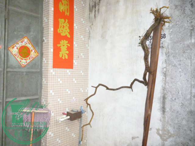 P1110070.JPG