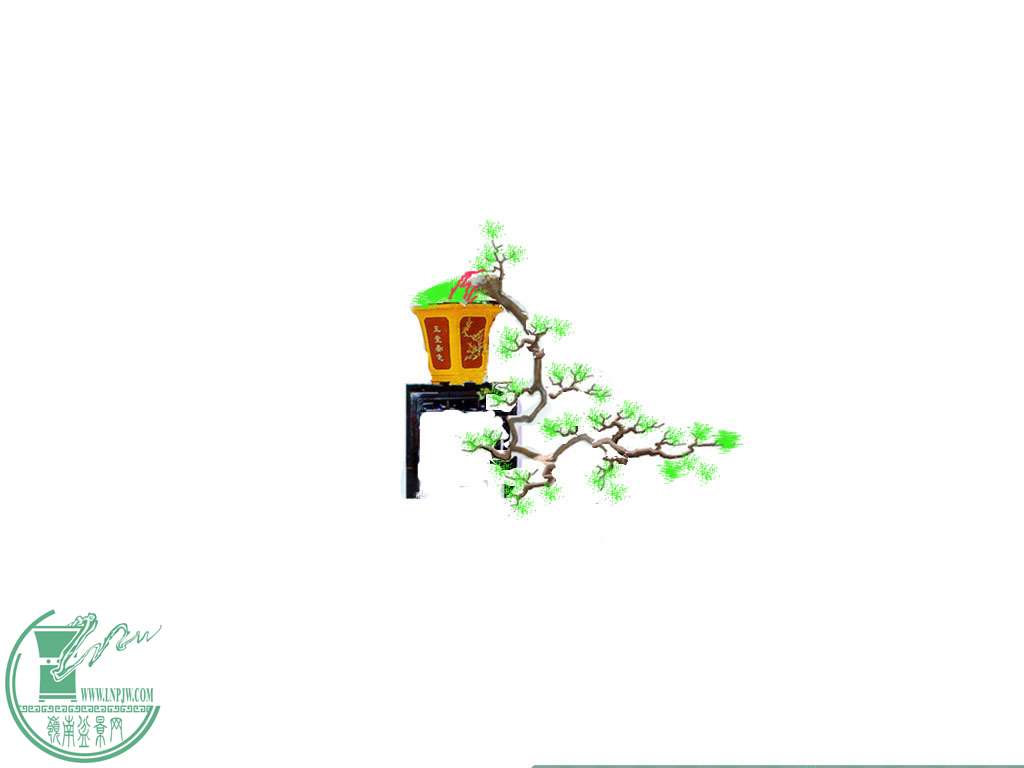 P1110077__.jpg