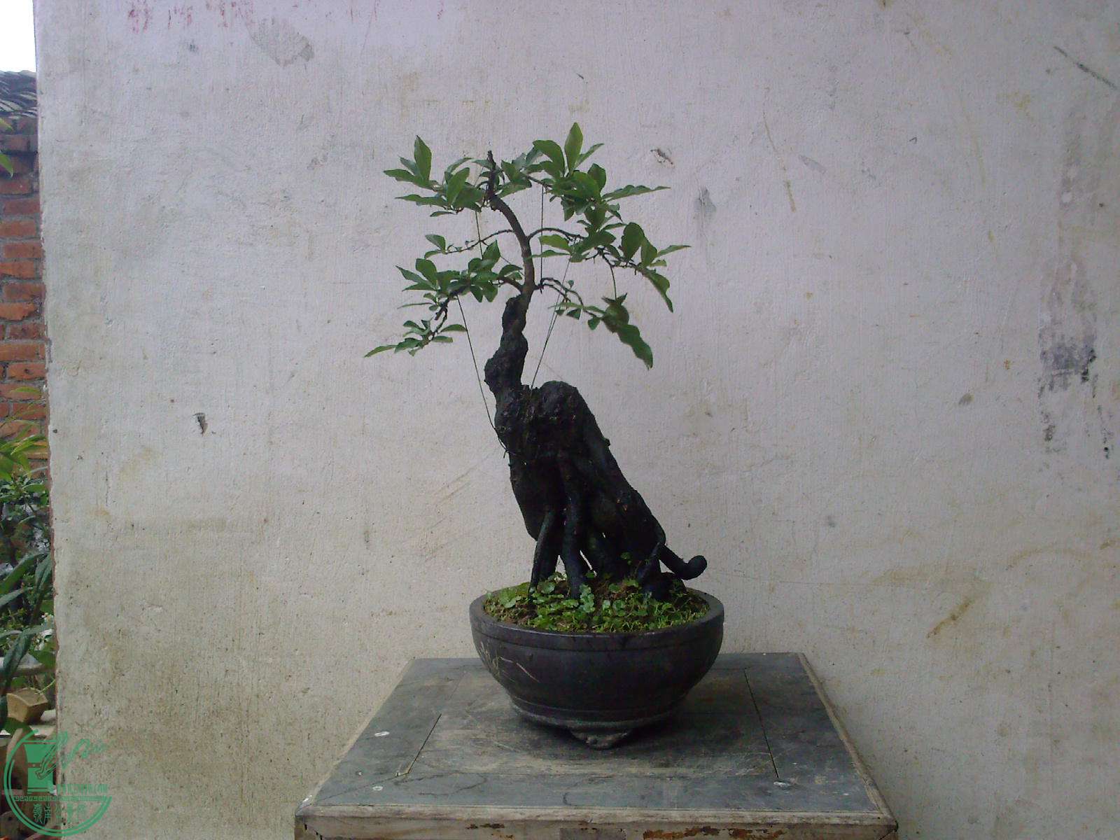 20150627092419.jpg