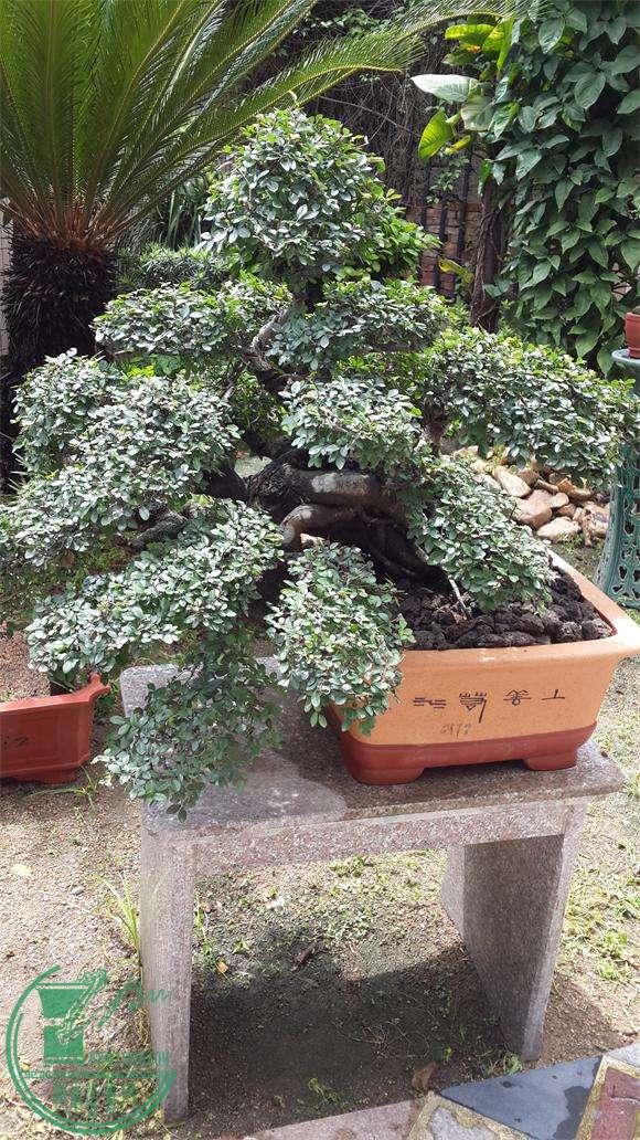 20150624_111151.jpg
