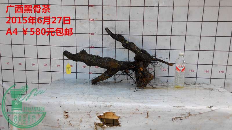 IMG_20150627_134157_.jpg