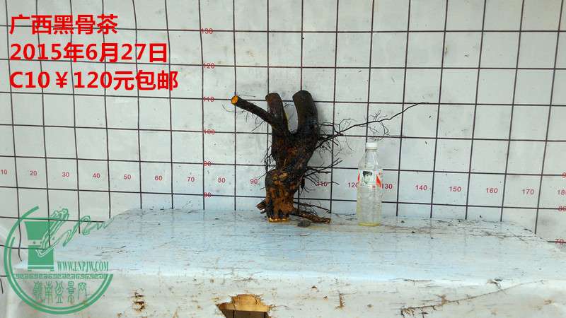 IMG_20150627_135046_.jpg
