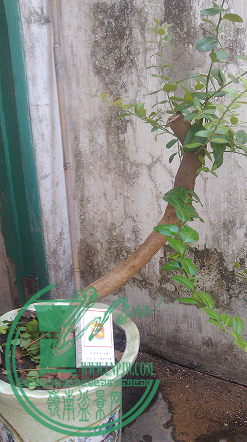 QQͼƬ20150627214529.png