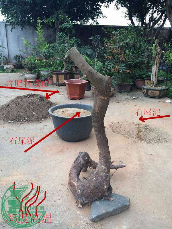 023510xdnpakwn7azpa9cd.jpg.thumb.jpg