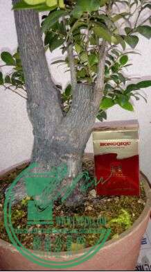 C96HTENJABP1JIC14N9ZA$UF.jpg