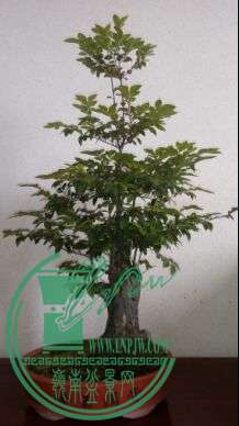 CVW2VCPS)(K5]SCUS6SF$MGA.jpg