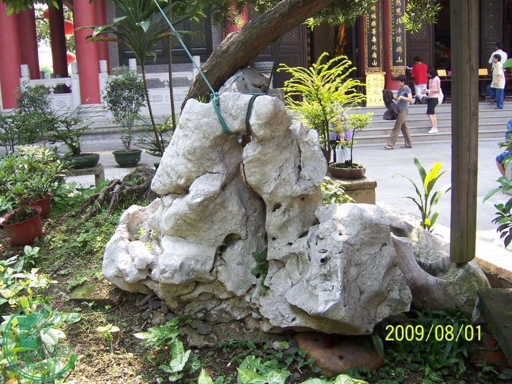 100_3775.jpg