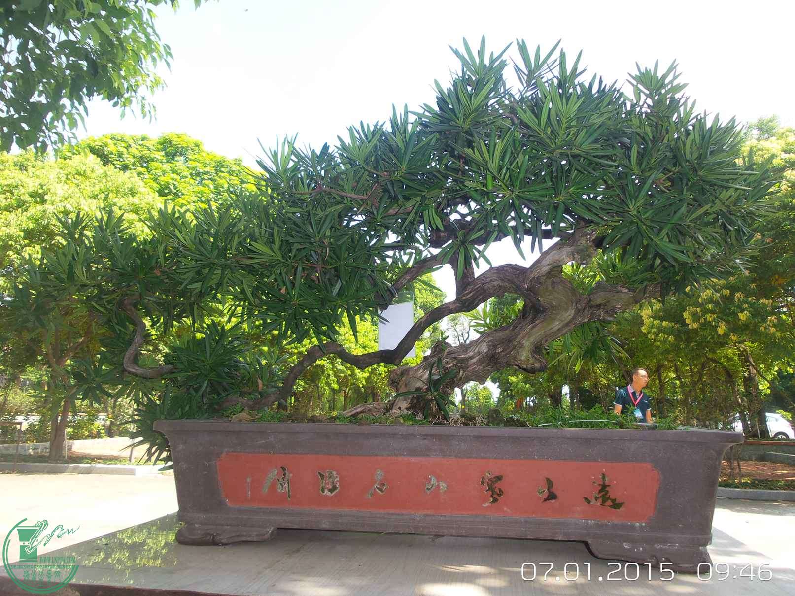 20150701_094650.jpg