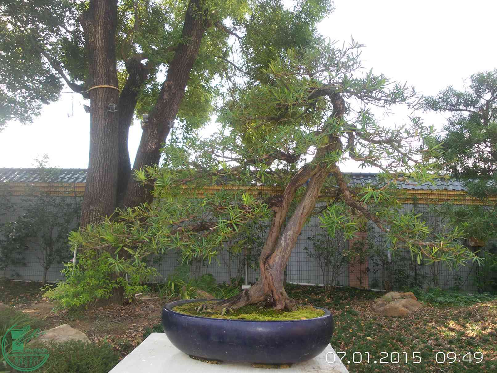 20150701_094924.jpg