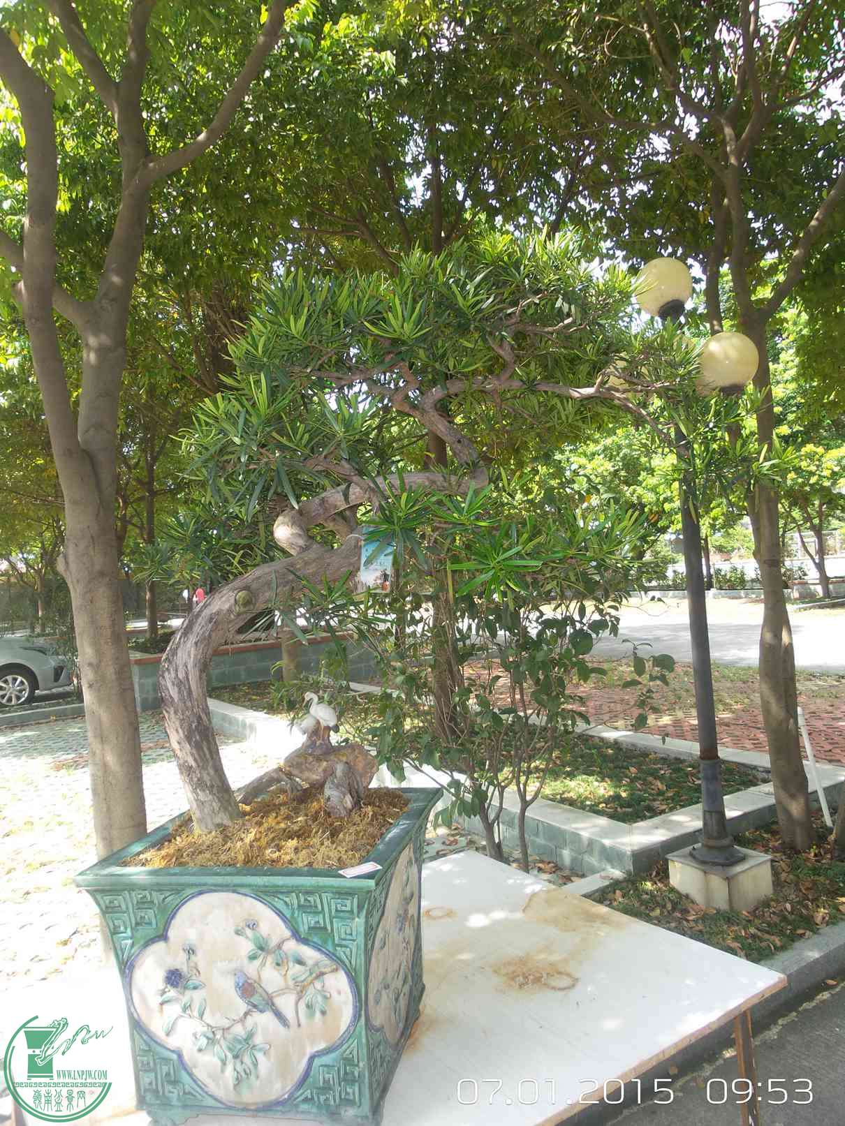 20150701_095306.jpg