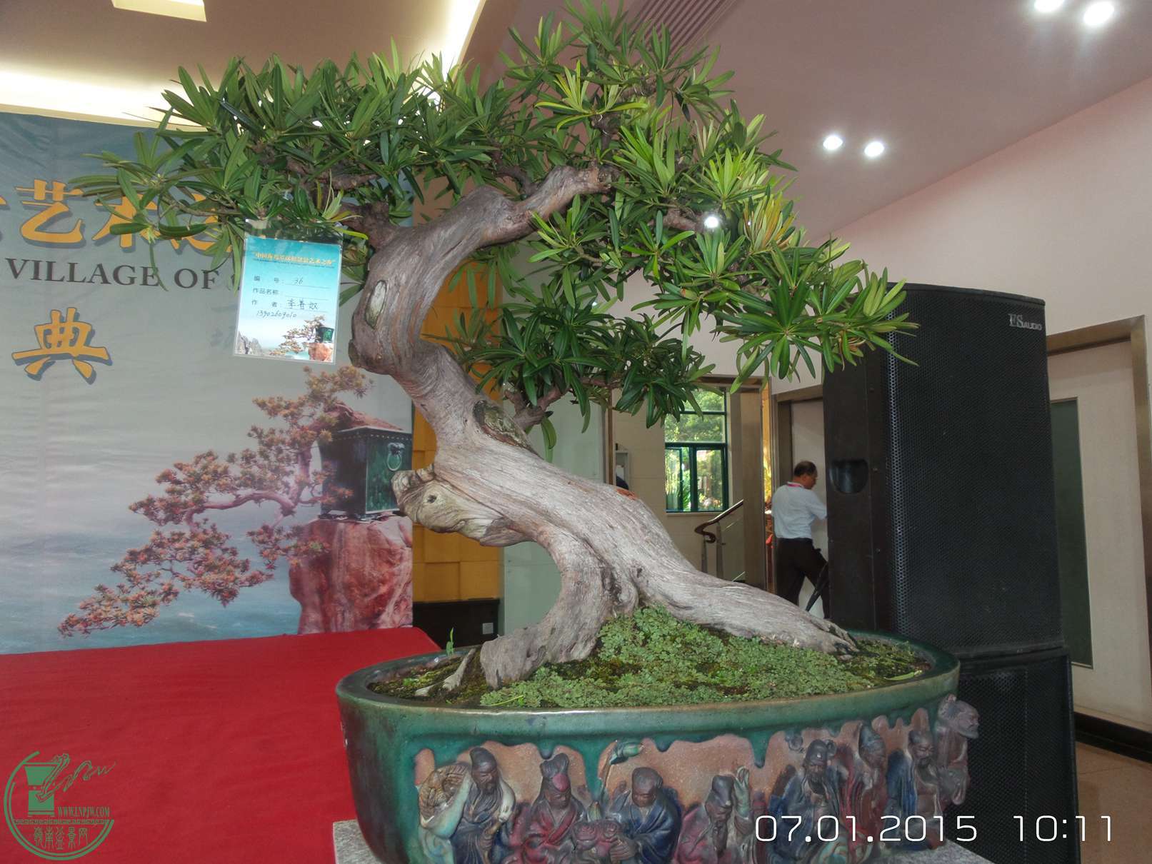 20150701_101149.jpg