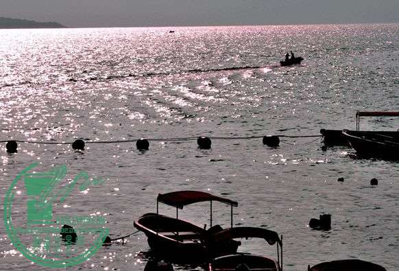 _DSC0037__.jpg