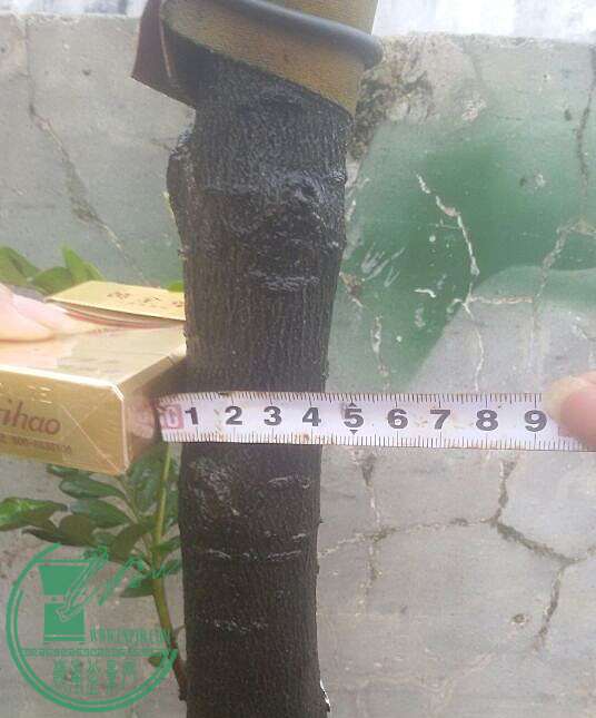 8_.jpg