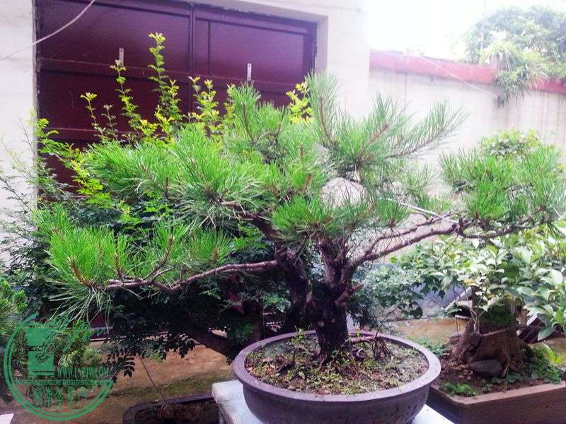 20150630_182858.jpg