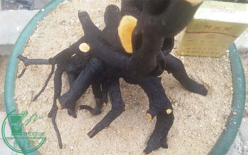 3_.jpg