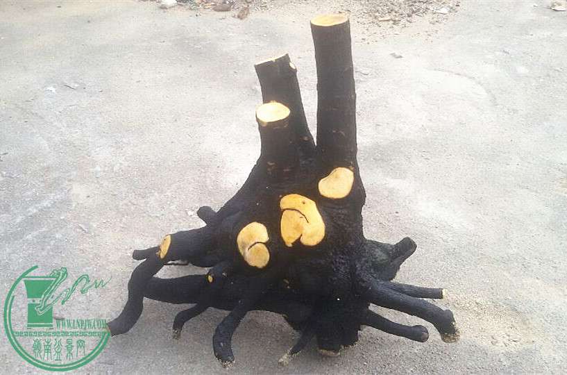 4_.jpg