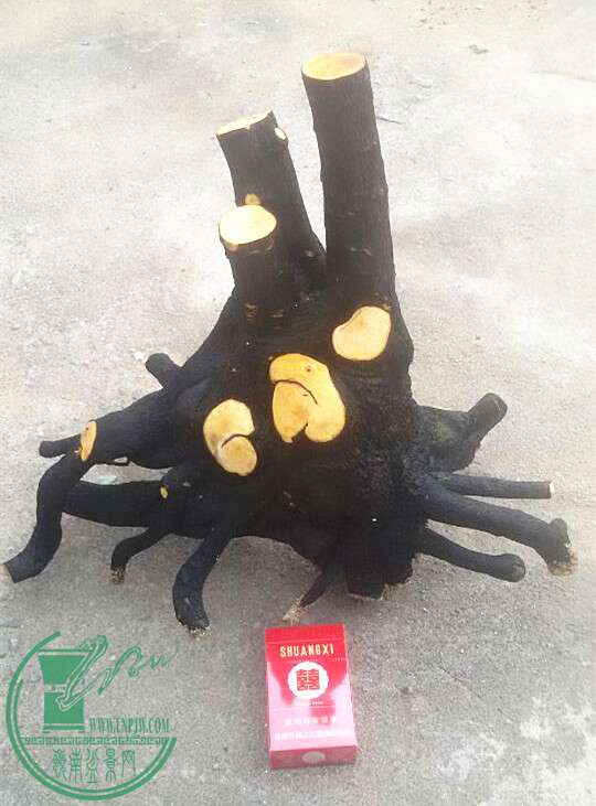 5_.jpg