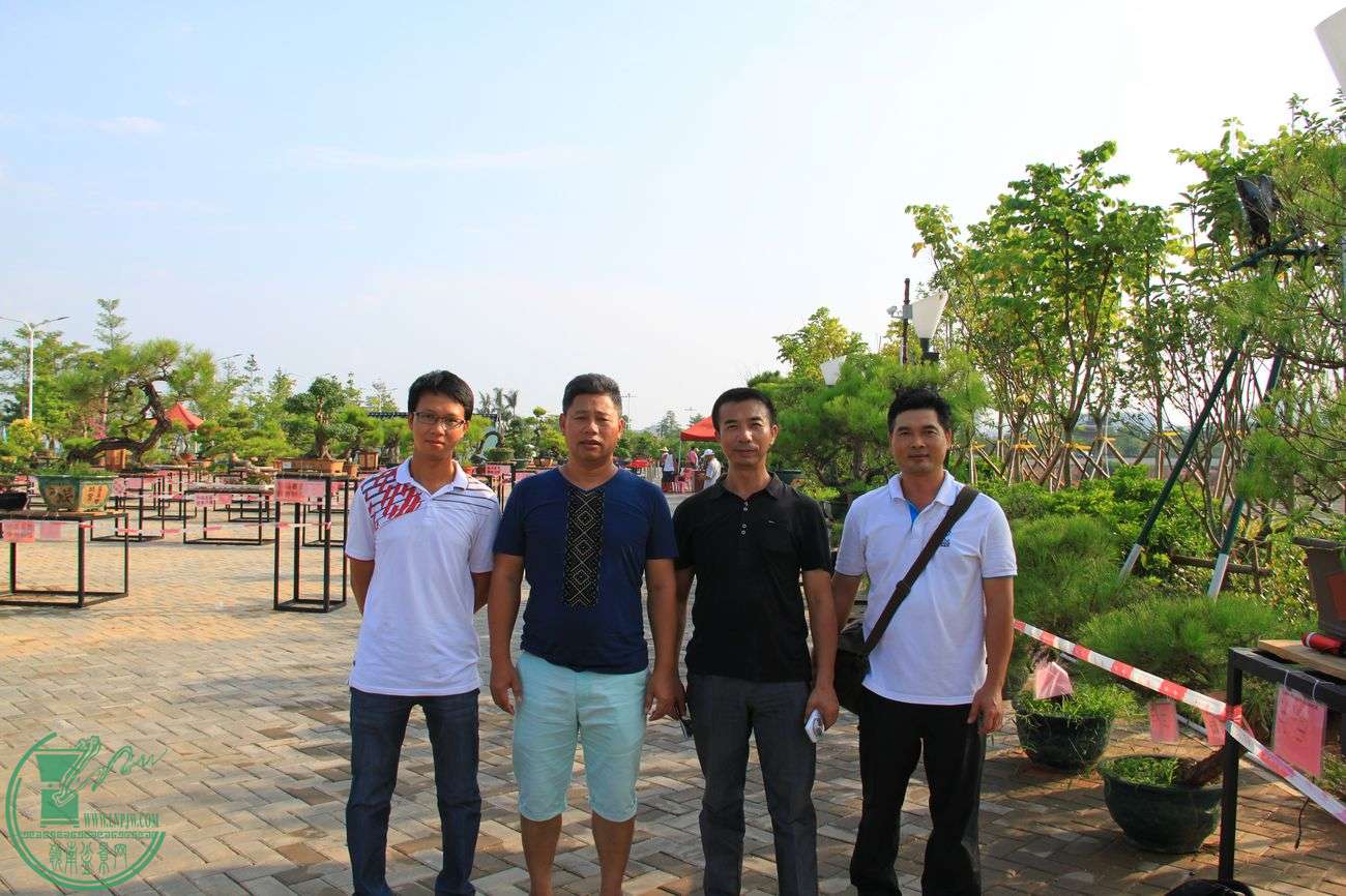 IMG_7370.jpg
